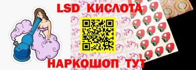 крисы Кандалакша