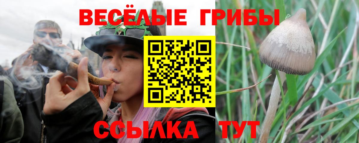 Галлюциногенные грибы MAGIC MUSHROOMS Электрогорск